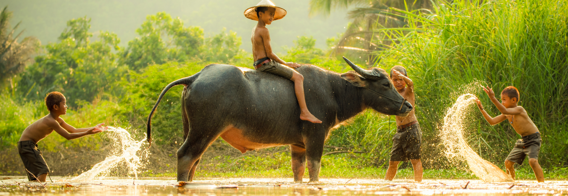 shutterstock_1307719333