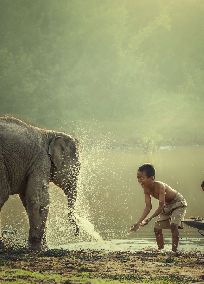 Agriculture that Respects the Earth and People