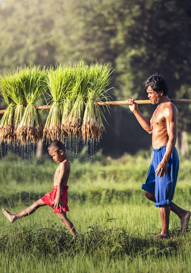 An Exceptional Terroir