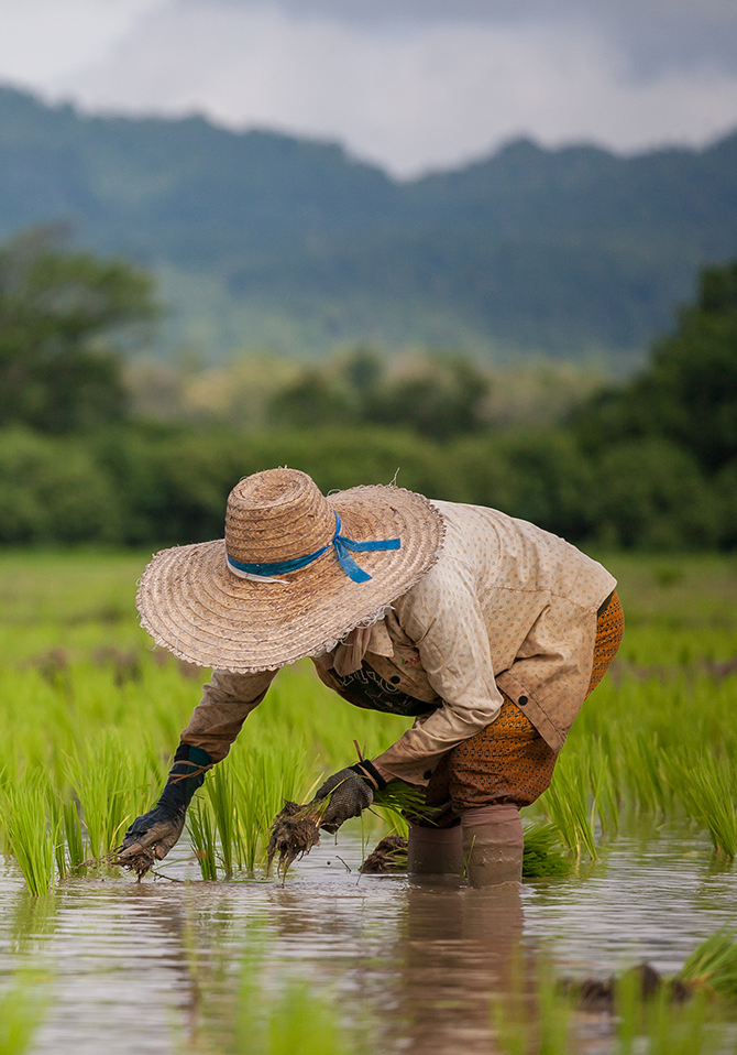 Supporting Local Farmers